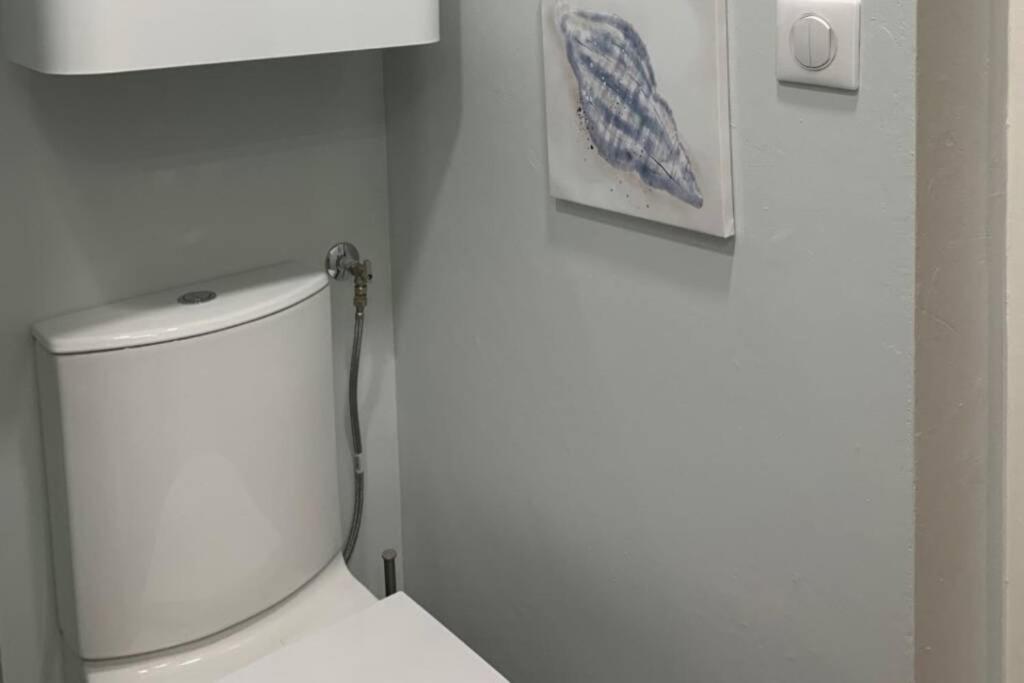 Joli Appartement Haut Standing En Hyper Centre トゥールーズ エクステリア 写真